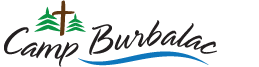 Chameleon Logo
