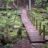 In the woods