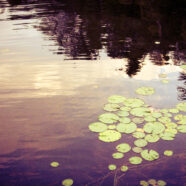 Summer Lake