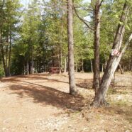 Site 22