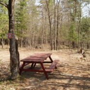 Site 23
