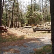Site 25