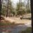 Site 25